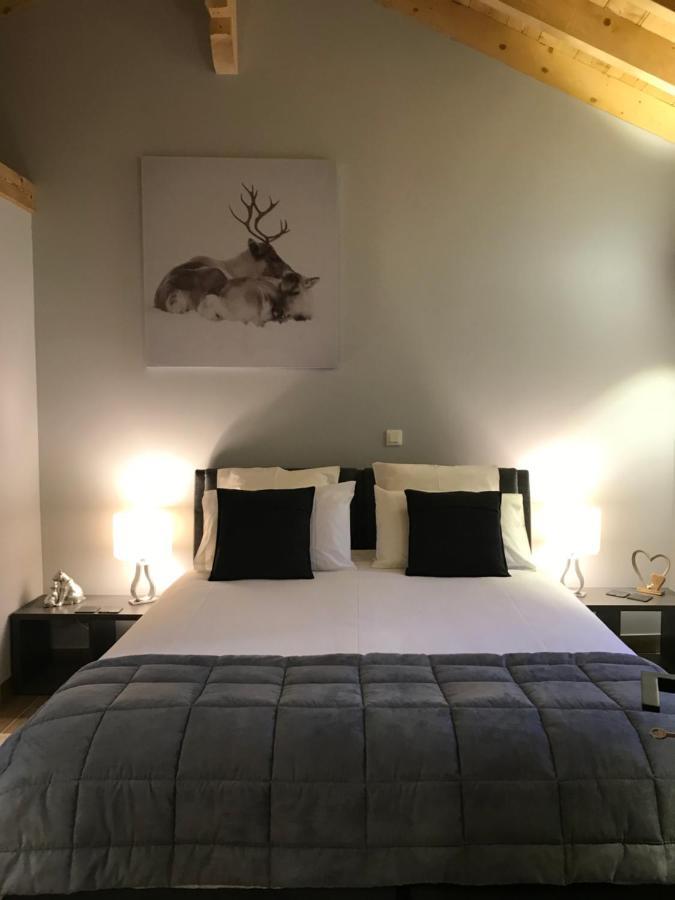 Chalet Barbara With Swimming Pool In The Heart Of Oisans Le Bourg-dʼOisans Zewnętrze zdjęcie